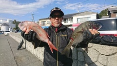 まこと渡船 釣果
