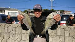 まこと渡船 釣果