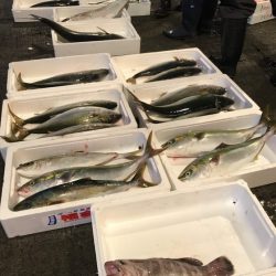 寿裕 （YOSHIHIRO） 釣果