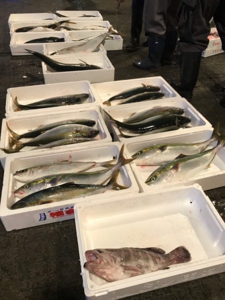 寿裕 （YOSHIHIRO） 釣果