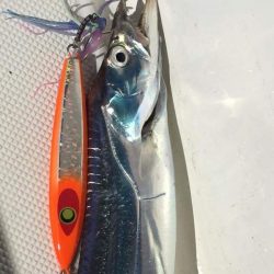 暁〜akatsuki〜 釣果