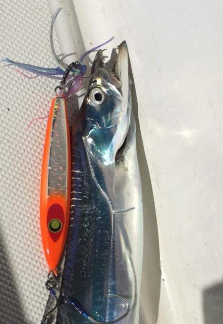 暁〜akatsuki〜 釣果