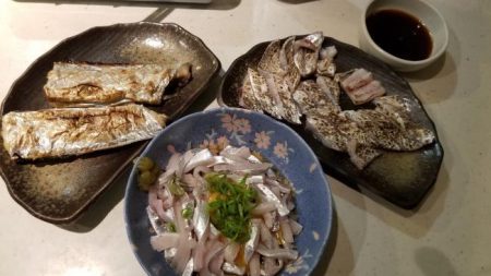 暁〜akatsuki〜 釣果