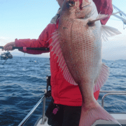 遊漁船ブルーウッズ 釣果