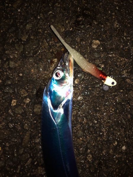 明石ワインド14