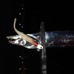 明石ワインド14