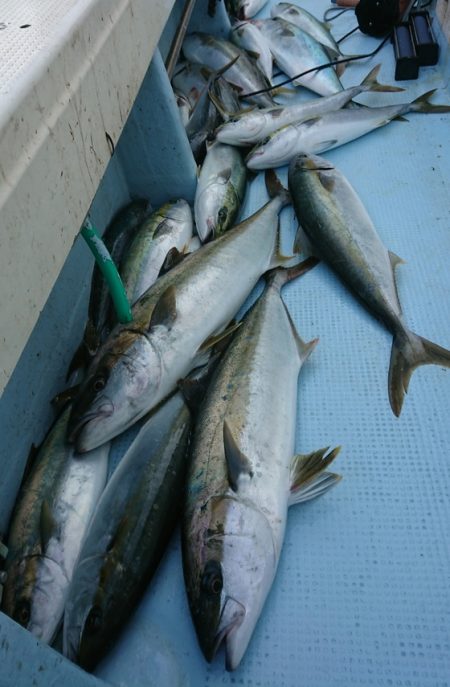 宝生丸 釣果