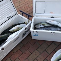 幸風（さちかぜ） 釣果