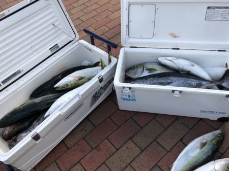 幸風（さちかぜ） 釣果