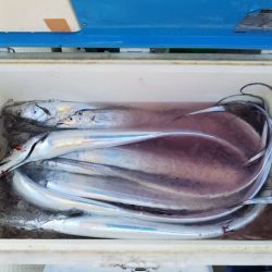 遊漁船 ニライカナイ 釣果