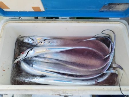 遊漁船 ニライカナイ 釣果