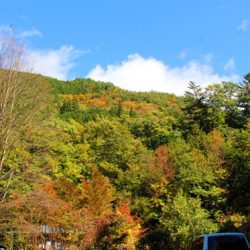 小菅トラウトガーデン 釣果