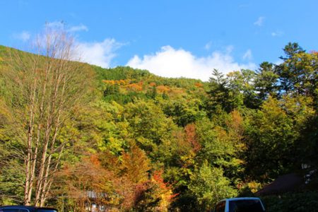 小菅トラウトガーデン 釣果