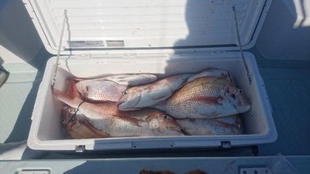 遊漁船ブルーウッズ 釣果