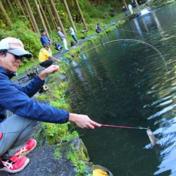 小菅トラウトガーデン 釣果