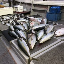 幸風（さちかぜ） 釣果