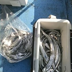 フィッシングガイド りょう 釣果