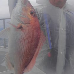 遊漁船 新鋭丸 釣果