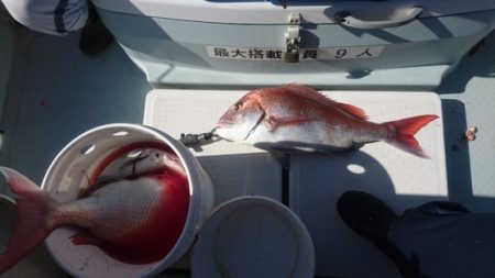 遊漁船ブルーウッズ 釣果