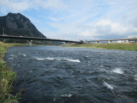 狩野川(狩野川漁業協同組合) 釣果