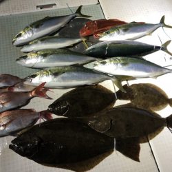ふじしめ丸 釣果