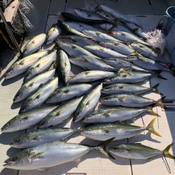 ふじしめ丸 釣果