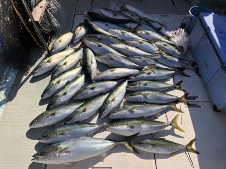ふじしめ丸 釣果