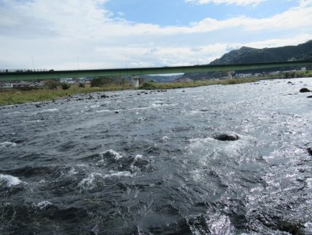 狩野川（狩野川漁業協同組合） 釣果