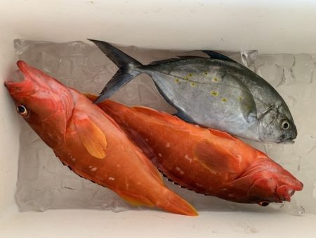 フィッシングハウス伊藤 釣果