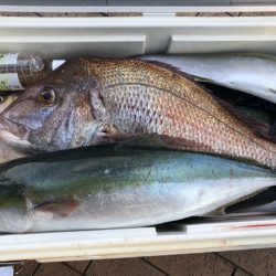 幸風（さちかぜ） 釣果