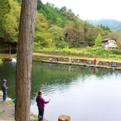 小菅トラウトガーデン 釣果