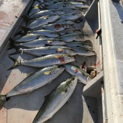 寿裕 （YOSHIHIRO） 釣果