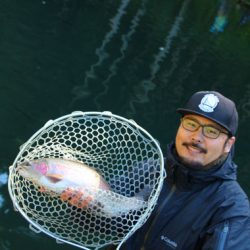 小菅トラウトガーデン 釣果
