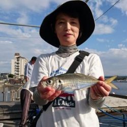 あい川丸 釣果