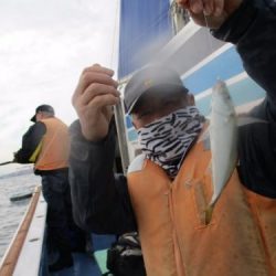 あい川丸 釣果