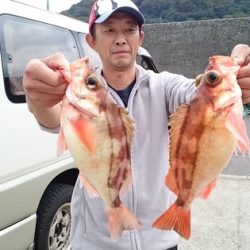 大進丸(新潟) 釣果