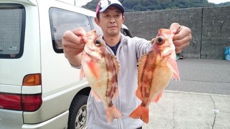 大進丸（新潟） 釣果