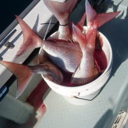 遊漁船ブルーウッズ 釣果