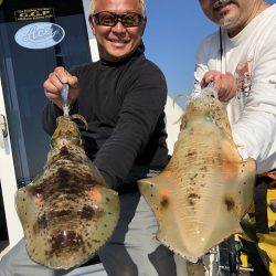 フィッシングボートACE(エース) 釣果