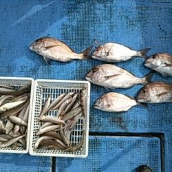 フィッシングガイド りょう 釣果