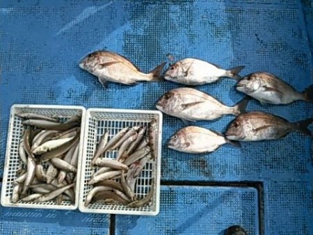 フィッシングガイド りょう 釣果