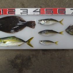 のとじま臨海公園海づりセンター 釣果
