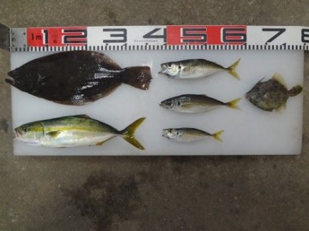 のとじま臨海公園海づりセンター 釣果