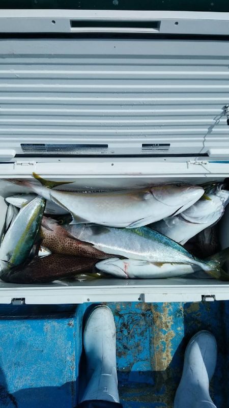太幸丸 釣果