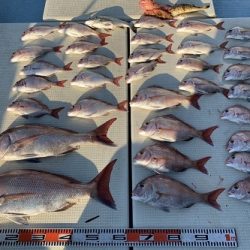 海人丸（うみんちゅまる） 釣果