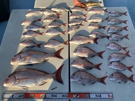 海人丸（うみんちゅまる） 釣果