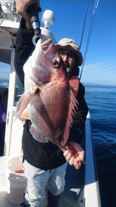 遊漁船ブルーウッズ 釣果