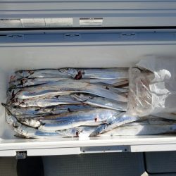 遊漁船　ニライカナイ 釣果