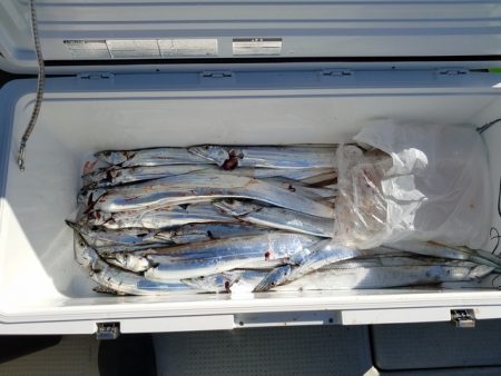 遊漁船　ニライカナイ 釣果