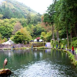 小菅トラウトガーデン 釣果